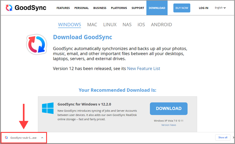 运行 GoodSync Windows 安装包
